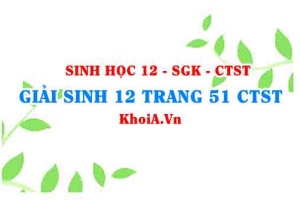 Giải Sinh 12 trang 51 Chân trời Sáng tạo